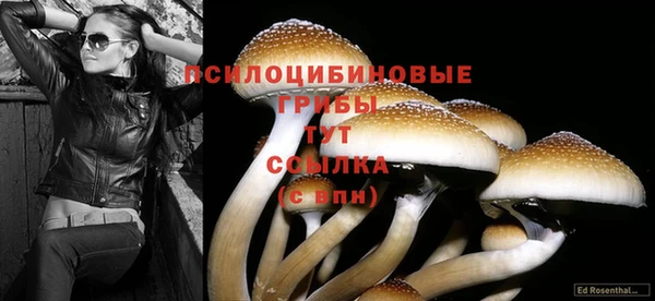 не бодяженный Волосово