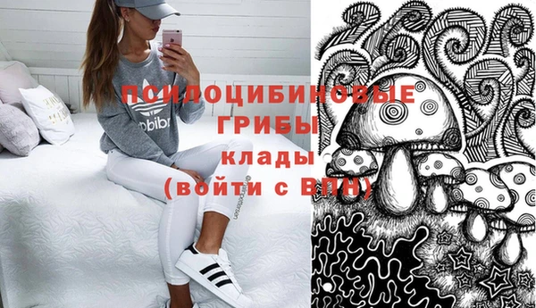 гидропоника Гусь-Хрустальный