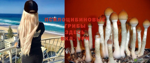 соль курить ск Волоколамск