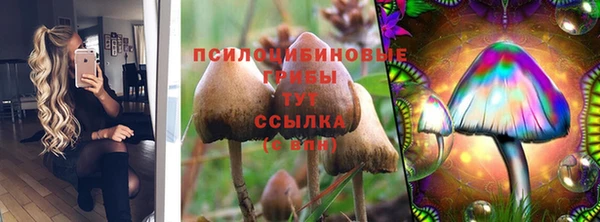 не бодяженный Волосово
